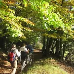 Panorama By Interhome Lejlighed *