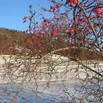 Panorama By Interhome *