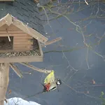 Panorama By Interhome Rauenstein (Sonneberg)