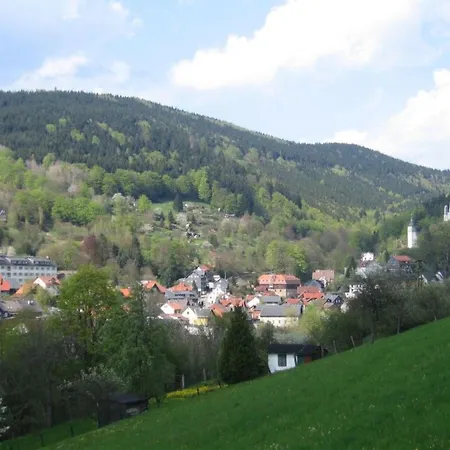 Panorama By Interhome Appartement Rauenstein (Sonneberg)
