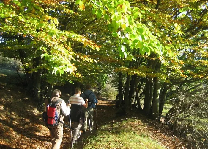 Panorama By Interhome Daire *