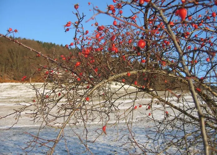 Panorama By Interhome *