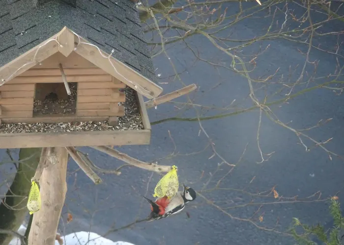 Panorama By Interhome Rauenstein (Sonneberg)